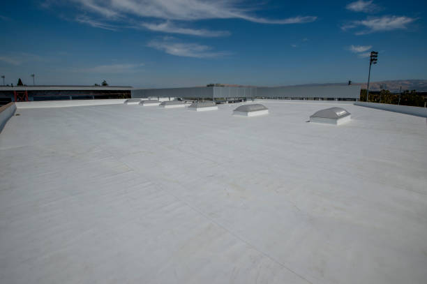 Best Roof Maintenance and Cleaning  in Zumbrota, MN