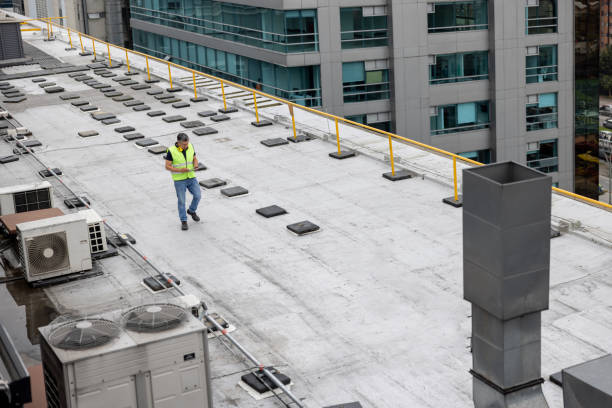 Best Emergency Roof Repair Services  in Zumbrota, MN