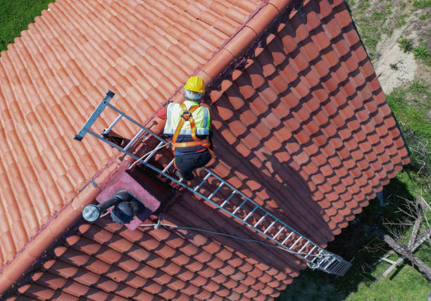Best Roof Leak Repair  in Zumbrota, MN